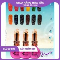 Sơn Gel Nứt TMY