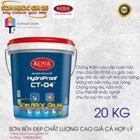 SƠN KOVA CT04