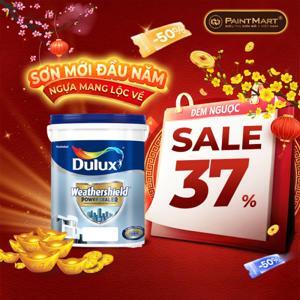 Sơn lót ngoại thất siêu cao cấp Dulux Weathershield Powersealer Z060 - 18 lít