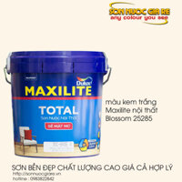 SƠN MAXILITE NỘI THẤT