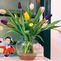 Son môi màu nude Teddy