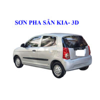 Sơn pha sẵn màu bạc KIA 3D, sơn pha vi tính 0985.985.422, các dòng xe, pha sơn theo yêu cầu theo mẫu SONQUANGPHU8856