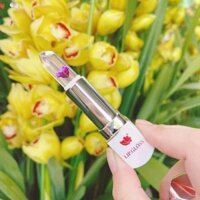 SON THẠCH HẤP HOA