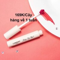 Son tint lỳ Canmake sale