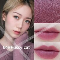 Son Tom Ford 04 Pussy Cat - Màu hồng đất - 3g