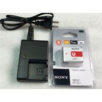 Sony DSC-T20 wx10 H70 hx5c hx10 hx30 camera NP-BG1 Pin + sạc