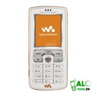 Sony Ericsson W800i