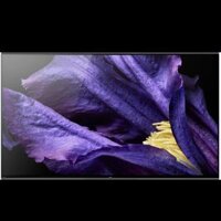 Sony Smart TV OLED KD-55A9F