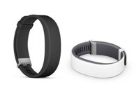 Sony Smartband 2