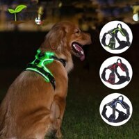 SPDD Dây đeo ngực thú cưng phát sáng SPDD, Dây nịt chó có đèn LED có thể sạc lại, Áo Vest phát sáng cổ mềm có đệm bền bỉ cho chó đi bộ ban đêm