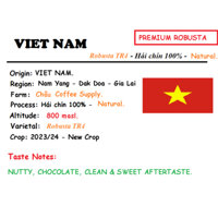 SPECIAL COFFEE - HẠT - 2 TÚI 250 GRAM (Gross Weight) - ROBUSTA SẺ NATURAL - LÊ KIÊN FARM/TAMBA FARM.