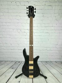 Spector NS-2000/5 Dan Briggs Signature 5 String Bass BTBAM