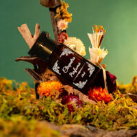 Spell Nước Hoa Nữ Hoàng Cleopatra Xinh Đẹp - Quyến Rũ - Sang Trọng