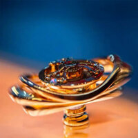 Spinner EDC Ring Brass by NEWEDC