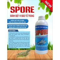 SPORE VI BÀO TỬ TRÙNG