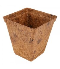 SPRING Chậu cây bằng xơ dừa có thể phân hủy sinh học Thái Lan W10xH13,5xD10cm màu nâu