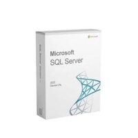 SQL Server 2022 - 1 Device CAL