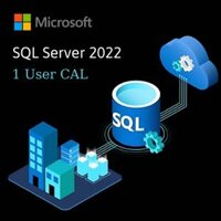 SQL Server 2022 – 1 user CAL