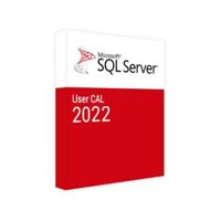 SQL Server 2022 - 1 User CAL