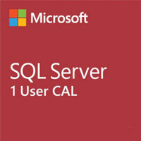 SQL Server 2022 – 1 User CAL