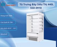 SSD-0910 - Tủ Trưng Bày Siêu Thị 440 L