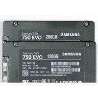 Ssd 250GB Samsung 750 Evo giá tốt