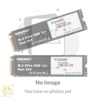 SSD 256GB M2 NVMe Kingmax PQ3480