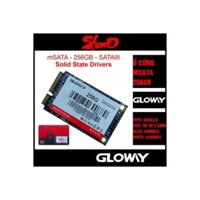 SSD GOLWAY 256GB MSATA (KO VAT)