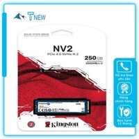 SSD M.2 PCIe 500G KINGSTON NV2 2280 NVMe Gen4x4 Chính hãng