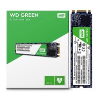 SSD M.2 Sata 240G WD Green Chính hãng