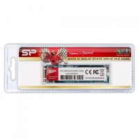 SSD Silicon Power M55 120GB