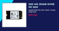 SSD WD 256GB NVME M2 2242 (Black - Outlet, Nhập khẩu)