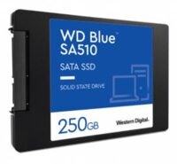 SSD WD S250G3B0A  Blue  sata