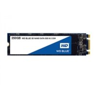 SSD WD WDS250G3X0E-M2 NVMe  Blue SN770 (250GB)