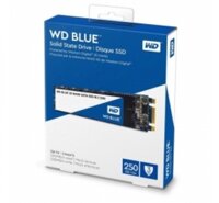 SSD WDS250G3B0C-M2 NVMe  Blue SN570