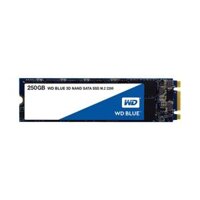 SSD Western Blue 250GB M2 – WDS250G2B0B