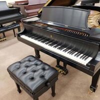 Steinway & Sons B