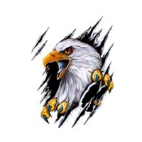 Sticker Dán Xe Hơi 3d 18x24cm Chất Lượng Cao