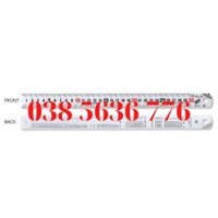 (Stock) Thước lá thẳng catch-up Niigata Seiki CU-30KD (0-300mm)