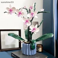 Su 1 Bộ Quà Tặng Ngày Lễ Tình Nhân Cho Bạn Gái Lãng Mạn Hoa Hồng DIY Bó Hoa Trang Trí Khối Xây Dựng Gạch Đồ Chơi n