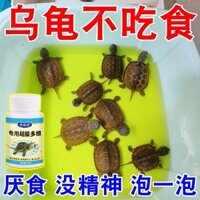 Sử dụng nó để cứu rùa] Rùa siêu Vitamin Rùa không thích ăn món khai vị Đừng Zhen Rùa Thuốc đứng 0227 ~ 25