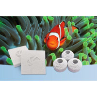 Sứ lọc Maxspect Nano Tech Bio Block, Nano-Tech Bio-Spheres, sứ lọc zoox cho bể cá cảnh