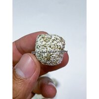 SỨ LỌC VIÊN SỨ TRẮNG BI MÈ VẬT LIỆU LỌC CHO BỂ CÁ CẢNH TÚI 1KG