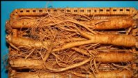 Sự thật về Nhân Sâm siêu rẻ - Bảng Giá Nhân Sâm Hàn Quốc chính hãng