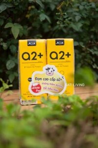 Sữa bò A2 không lactose mMilk
