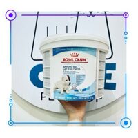 Sữa bột cho chó Royal Canin baby dog milk thùng 2kg