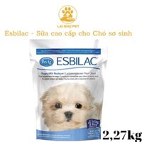 Sữa bột Esbilac thương hiệu số 1 thế giới dành cho cún TÚI 2.27kg - LAI NHỰ PET