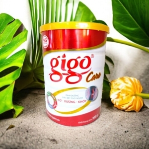 Sữa bột Gigo Care lon 900g