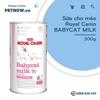 Sữa cho mèo Royal Canin BABYCAT MILK 300g