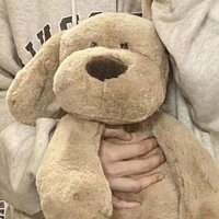 Sữa Chó Sang Trọng Đồ Chơi Chó Cotyityiyt